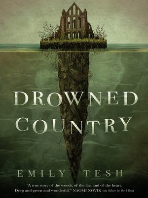 cover image of Drowned Country
